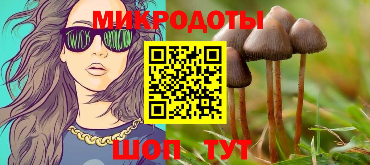 Избербаш  Псилоцибиновые грибы Cubensis  Вход с VPN 